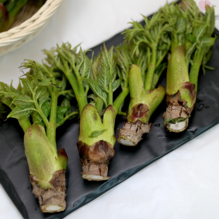 두릅 효능, 무침, 장아찌, 부작용